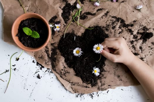 Child planting daisies in soil with potted plant on brown paper surface.
