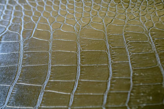 Side angle view of black crocodile skin background with customizable space for text. Wildlife concept and copy space.
