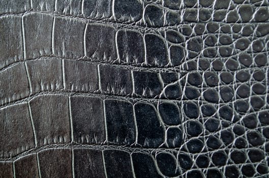 Close up view of black crocodile skin background with customizable space for text. Wildlife concept and copy space.