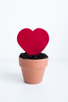 Heart shaped card in clay pot on white background.