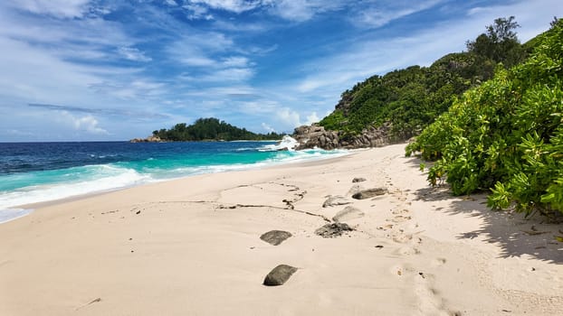 Bright green vegetation lining a sandy beach with turquoise ocean waves rolling onto the shore. Anse Boileau. Seychelles, Mahe.