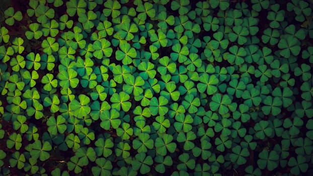 The Four-leaf clover on a green shamrock background. clover background