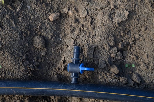 A black irrigation pipe with a blue valve rests on dry soil, showcasing efficient water management in agriculture.