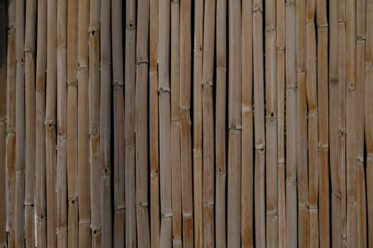 Vertical bamboo planks stand closely together, showcasing nature's texture and warm tones in a tranquil setting.