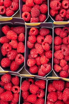 Juicy red raspberries neatly arranged in paper containers at a market stall. Ideal for food photography, organic produce, healthy eating visuals, and summer fruit promotions