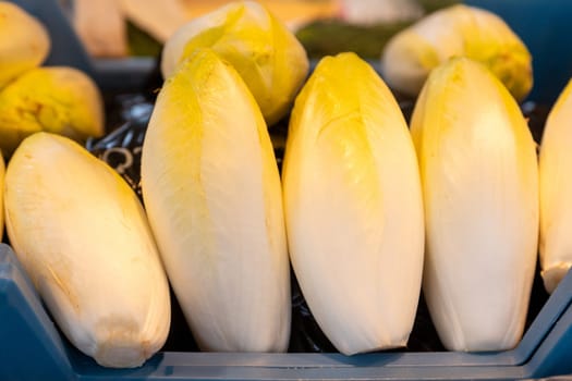 Fresh Belgian endive at a farmers market. Crisp white and yellow leafy vegetable. Ideal for food photography, farm-fresh produce, gourmet salads, and healthy eating concepts