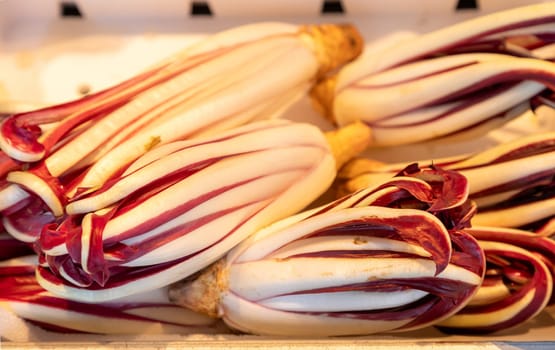 Fresh Treviso radicchio with delicate red and white leaves arranged at a farmers market. Ideal for food photography, farm-fresh produce, gourmet cooking, and healthy eating concepts