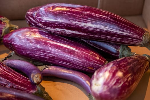 Striped purple eggplants with glossy skin at a farmers market. Ideal for food photography, organic produce, healthy eating, and vegetarian meal preparation