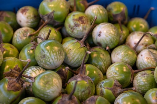 Fresh Thai green eggplants with unique striped patterns in a blue crate at a market. Ideal for food photography, Asian cuisine, vegetable dishes, and organic produce visuals