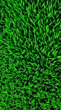 Green juicy grass, Close-up. High quality photo