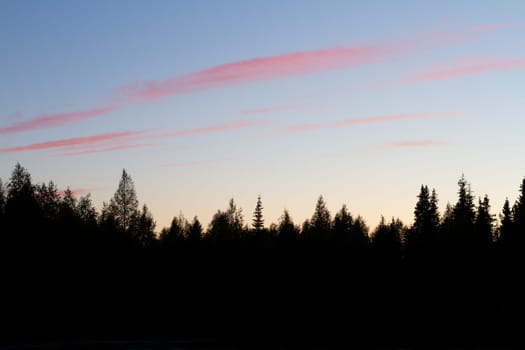 silhouette of forest and pink thin clouds, minimalism,wood