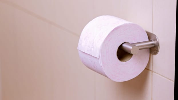 Pink toilet paper roll hanging on a stainless steel holder, ready for use in the bathroom