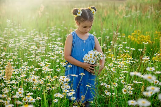 little girl in blue dress holding a jar with a bouquet of daisies, in a field, on a sunny day