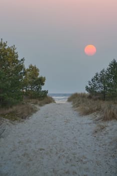Beach crossing on the island of Usedom to the Baltic Sea. The moon is in the sky. White sand and trees. Nature photo from a German island