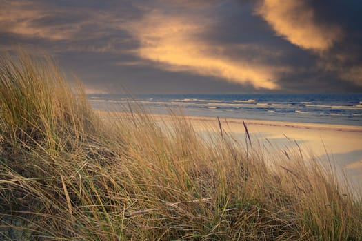 View over the dunes on the island of Usedom to the Baltic Sea. Dune grass and white sand. Nature photo