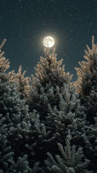 Evergreen trees bathed in silver moonlight, their frosted branches glistening under the night sky, creating an ethereal and quiet winter scene.