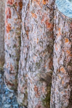 Close up shot of the wooden logs