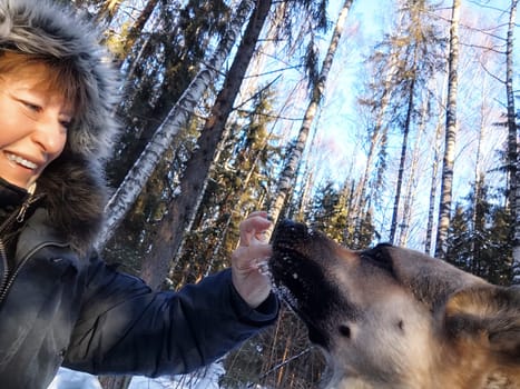A woman takes a joyful selfie with her German Shepherd dog in a beautiful winter forest filled with trees.