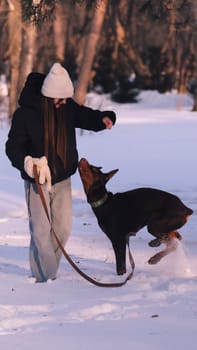 playing with a dog in nature. Doberman puppy with his owner. running with a puppy in the forest. winter frosty day in nature. puppy playing with its owner. raising a dog.
