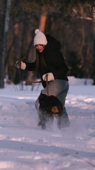 playing with a dog in nature. Doberman puppy with his owner. running with a puppy in the forest. winter frosty day in nature. puppy playing with its owner. raising a dog.