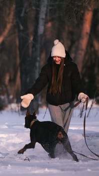 playing with a dog in nature. Doberman puppy with his owner. running with a puppy in the forest. winter frosty day in nature. puppy playing with its owner. raising a dog.