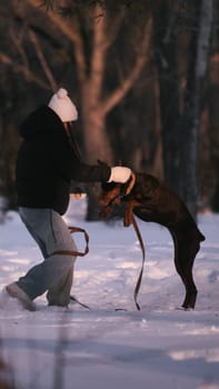 playing with a dog in nature. Doberman puppy with his owner. running with a puppy in the forest. winter frosty day in nature. puppy playing with its owner. raising a dog.