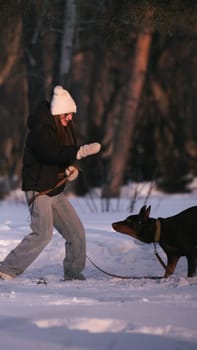 playing with a dog in nature. Doberman puppy with his owner. running with a puppy in the forest. winter frosty day in nature. puppy playing with its owner. raising a dog.