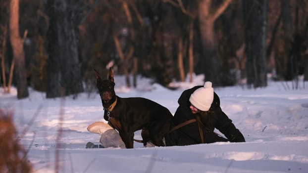 playing with a dog in nature. Doberman puppy with his owner. running with a puppy in the forest. winter frosty day in nature. puppy playing with its owner. raising a dog.