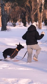 playing with a dog in nature. Doberman puppy with his owner. running with a puppy in the forest. winter frosty day in nature. puppy playing with its owner. raising a dog.