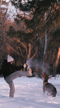 playing with a dog in nature. Doberman puppy with his owner. running with a puppy in the forest. winter frosty day in nature. puppy playing with its owner. raising a dog.