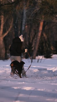 playing with a dog in nature. Doberman puppy with his owner. running with a puppy in the forest. winter frosty day in nature. puppy playing with its owner. raising a dog.