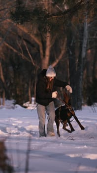 playing with a dog in nature. Doberman puppy with his owner. running with a puppy in the forest. winter frosty day in nature. puppy playing with its owner. raising a dog.