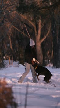 playing with a dog in nature. Doberman puppy with his owner. running with a puppy in the forest. winter frosty day in nature. puppy playing with its owner. raising a dog.