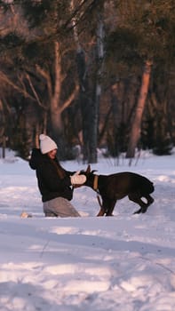 playing with a dog in nature. Doberman puppy with his owner. running with a puppy in the forest. winter frosty day in nature. puppy playing with its owner. raising a dog.