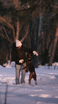 playing with a dog in nature. Doberman puppy with his owner. running with a puppy in the forest. winter frosty day in nature. puppy playing with its owner. raising a dog.