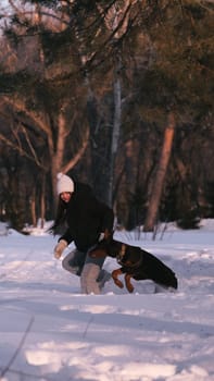 playing with a dog in nature. Doberman puppy with his owner. running with a puppy in the forest. winter frosty day in nature. puppy playing with its owner. raising a dog.