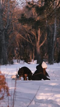playing with a dog in nature. Doberman puppy with his owner. running with a puppy in the forest. winter frosty day in nature. puppy playing with its owner. raising a dog.