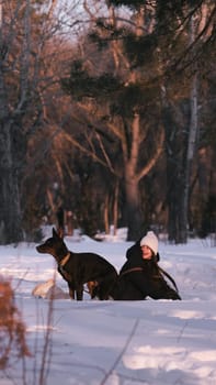 playing with a dog in nature. Doberman puppy with his owner. running with a puppy in the forest. winter frosty day in nature. puppy playing with its owner. raising a dog.