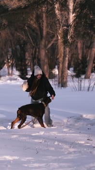 playing with a dog in nature. Doberman puppy with his owner. running with a puppy in the forest. winter frosty day in nature. puppy playing with its owner. raising a dog.