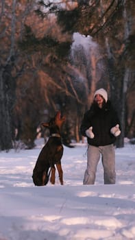 playing with a dog in nature. Doberman puppy with his owner. running with a puppy in the forest. winter frosty day in nature. puppy playing with its owner. raising a dog.