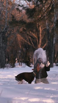 playing with a dog in nature. Doberman puppy with his owner. running with a puppy in the forest. winter frosty day in nature. puppy playing with its owner. raising a dog.