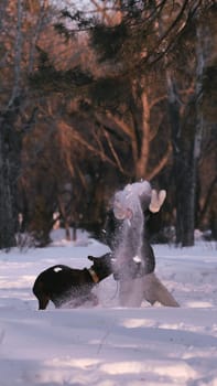 playing with a dog in nature. Doberman puppy with his owner. running with a puppy in the forest. winter frosty day in nature. puppy playing with its owner. raising a dog.