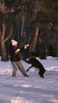 playing with a dog in nature. Doberman puppy with his owner. running with a puppy in the forest. winter frosty day in nature. puppy playing with its owner. raising a dog.
