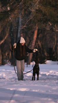 playing with a dog in nature. Doberman puppy with his owner. running with a puppy in the forest. winter frosty day in nature. puppy playing with its owner. raising a dog.
