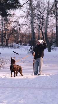 playing with a dog in nature. Doberman puppy with his owner. running with a puppy in the forest. winter frosty day in nature. puppy playing with its owner. raising a dog.