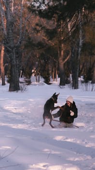 playing with a dog in nature. Doberman puppy with his owner. running with a puppy in the forest. winter frosty day in nature. puppy playing with its owner. raising a dog.