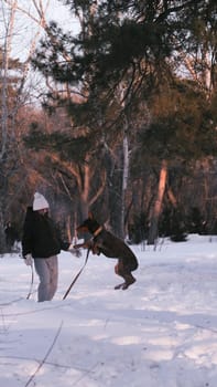 playing with a dog in nature. Doberman puppy with his owner. running with a puppy in the forest. winter frosty day in nature. puppy playing with its owner. raising a dog.