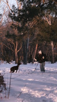 playing with a dog in nature. Doberman puppy with his owner. running with a puppy in the forest. winter frosty day in nature. puppy playing with its owner. raising a dog.