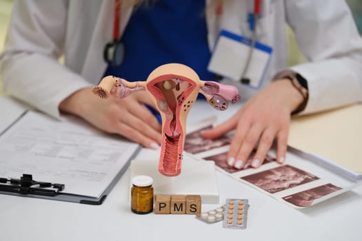 A healthcare professional is examining a detailed model of the female reproductive system along with PMS medications