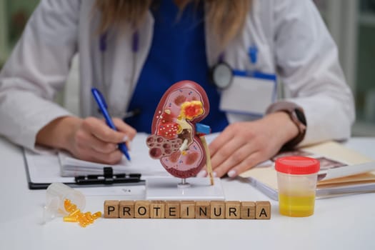 This visual representation illustrates proteinuria diagnosis, featuring a kidney model and urine sample for analysis
